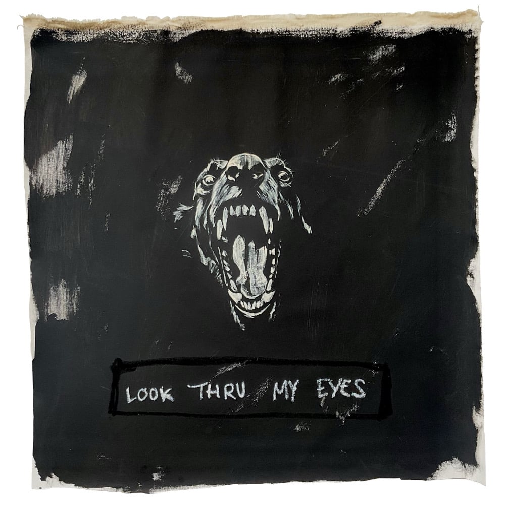 Image of Look Thru My Eyes