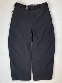 Image 2 of MULTI-COLOR LIZARD PANTS 