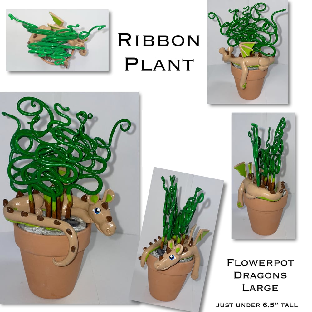 Image of 2023 Flowerpot Dragons