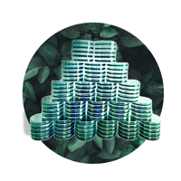 Image 1 of Premium Sorghum Agar Plates 