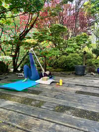Image 9 of Japanese Garden Mini Sanctuary Session 