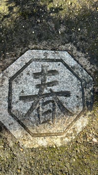 Image 17 of Japanese Garden Mini Sanctuary Session 