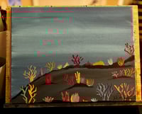 Coral Bed