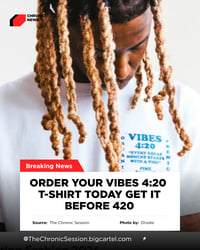 Image 4 of VIBES 420 T-Shirt 