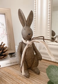 Image 3 of Chocolate Brown Rabbits ( Set or Singles )