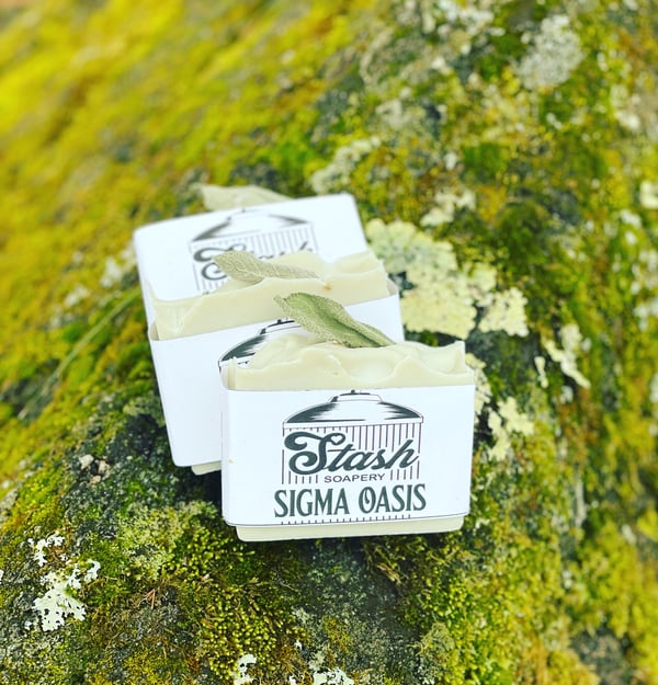 Image of Sigma Oasis 
