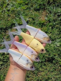  Snack Shads