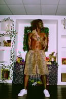 Image 4 of Printed Leopard