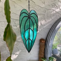 Image 3 of Turquoise Anthurium