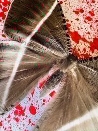 Image 3 of Tropical Swallowtail Moth