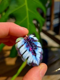 Image 1 of Purple variegated monstera pendant (uv reactive) 