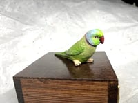 Image 8 of Handmade Custom Engraved Indian Ring Neck Parrot Urn Handpainted Pet Portrait