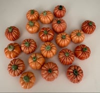 Image 3 of Pwmpenni bach / Tiny pumpkins 