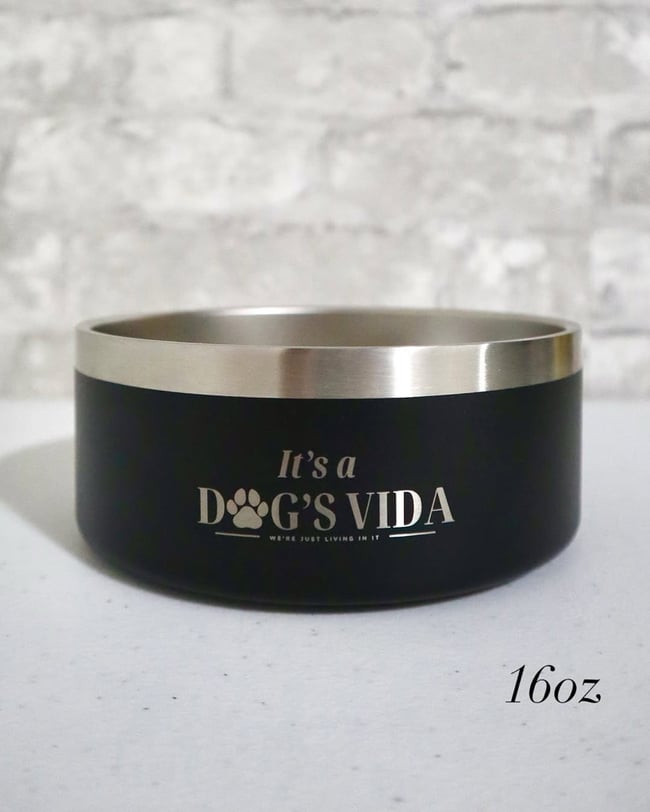 It’s a Dog’s Vida Stainless Steel Non-Slip Dog Bowl