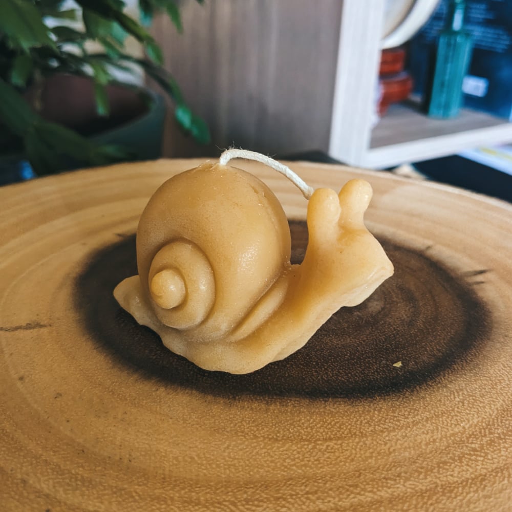 Image of Snail Candle