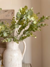 Image 1 of Simple Eucalyptus Sprays ( 3 included )