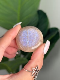 Image 1 of FULL FLASH MOONSTONE FLAT STONE