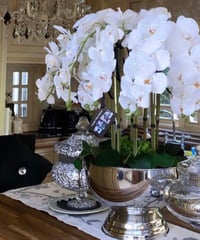 Image 2 of 8 stem orchid in a champagne bowl - Extra Large