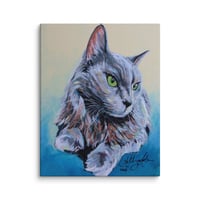 Image 2 of Domestic Longhaired Royalty