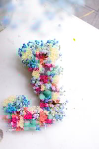 Image 1 of Letras de flores secas y preservadas