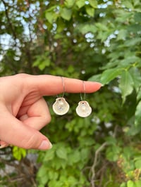 Image 3 of Silver Shell Hoops