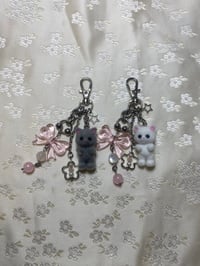 Image 6 of Koshi Kittens Clip