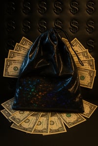 Image 1 of Large Moneybags