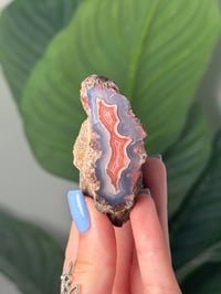 COTTON CANDY LAGUNA AGATE