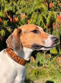 Image 2 of Camp Snoopy Dog Collar (With name)