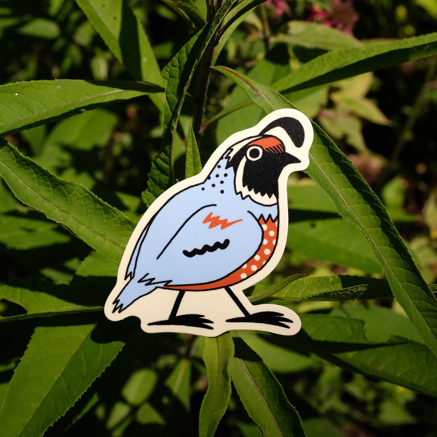 Quirky Quail Sticker