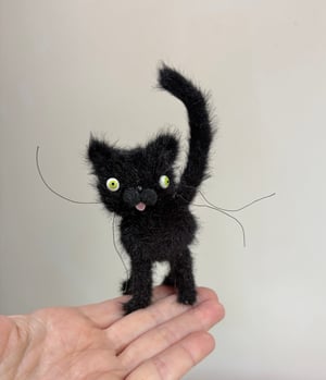 Image of Tiny Alley Cat #5
