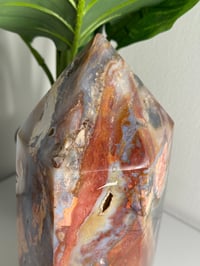 Image 4 of XXL RAINBOW IBIS JASPER TOWER -MADAGASCAR-