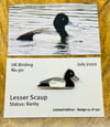 Lesser Scaup - No.90 - UK Birding Pins - Enamel Pin Badge