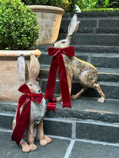 Image of Hare - Standing