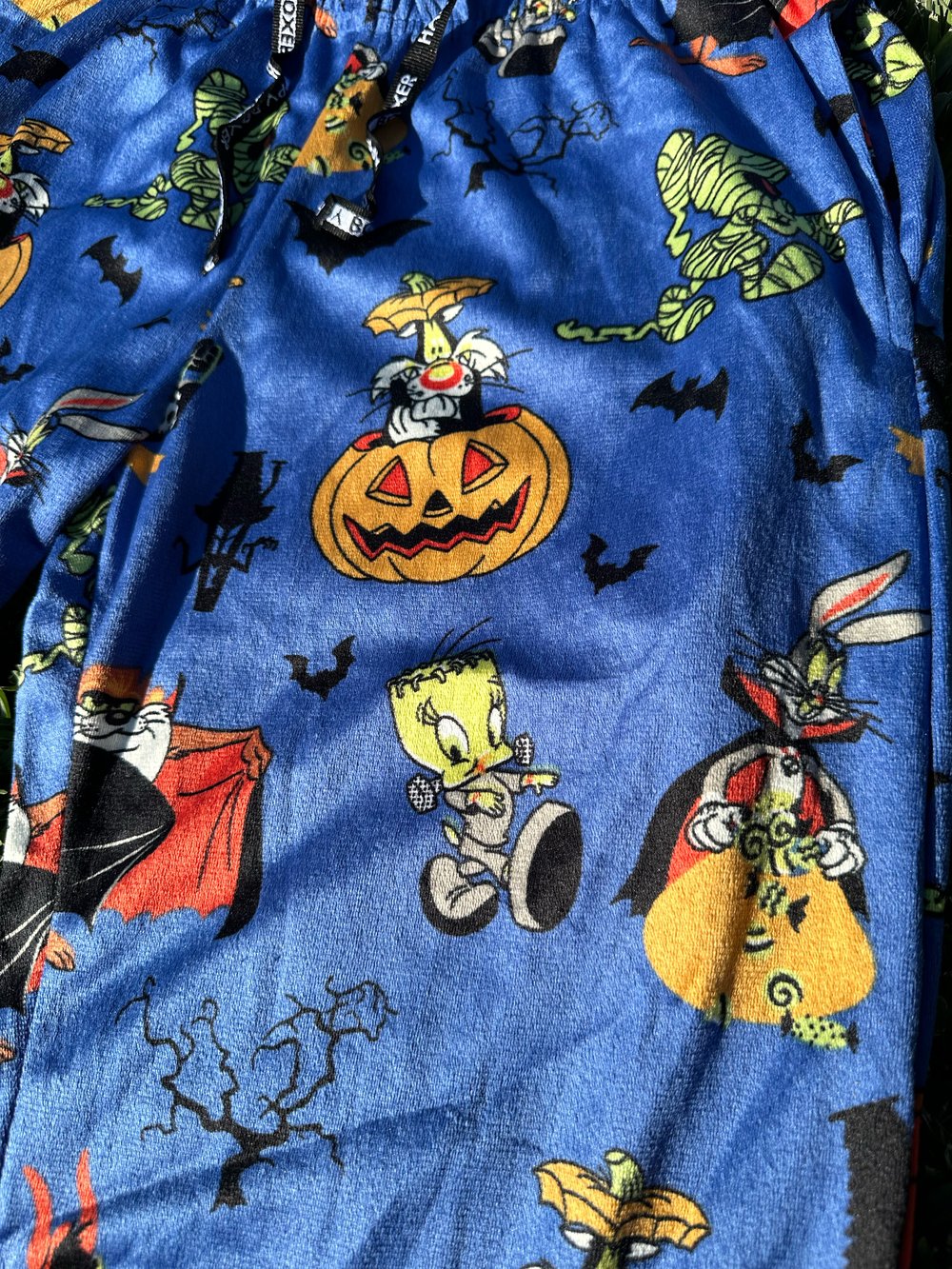 Looney Tunes - Halloween Pijama Pants