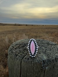 Image 3 of The Pink Spur