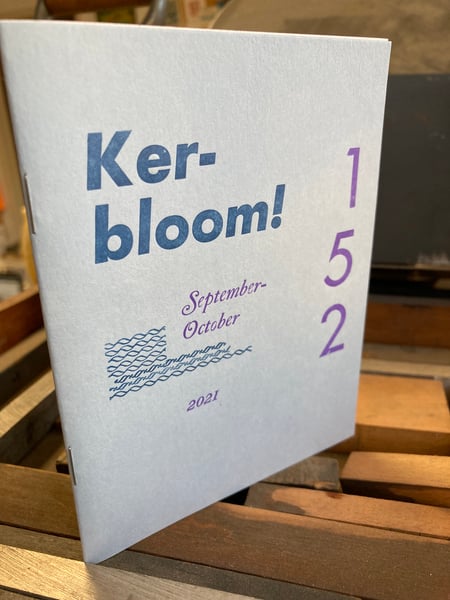 Image of Kerbloom puberty zine