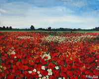 The Field of Red and White 