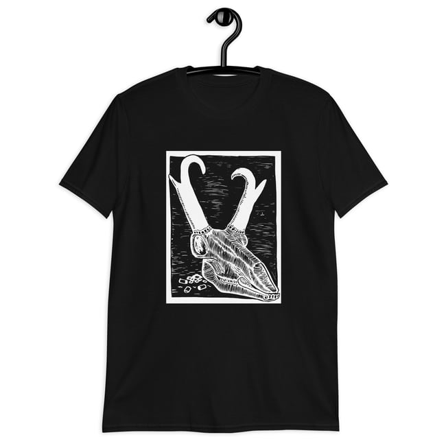 Growler Valley Pronghorn 