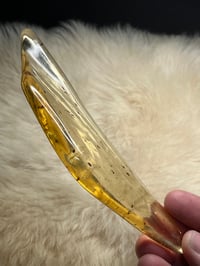 Image 13 of Copal Amber With Preserved Insects #2357