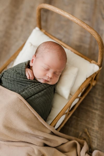 Image of Black Friday Newborn Sessions 