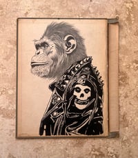 Image 1 of Punk Chimp Study#1