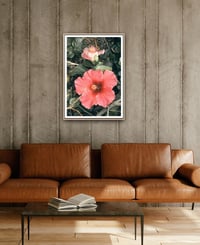 Image 2 of Hibiscus fine art photograph 