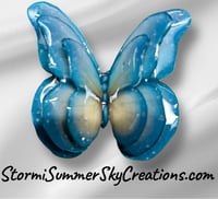 Blue and Yellow Butterfly