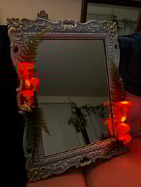 Image 2 of Amanita mirror