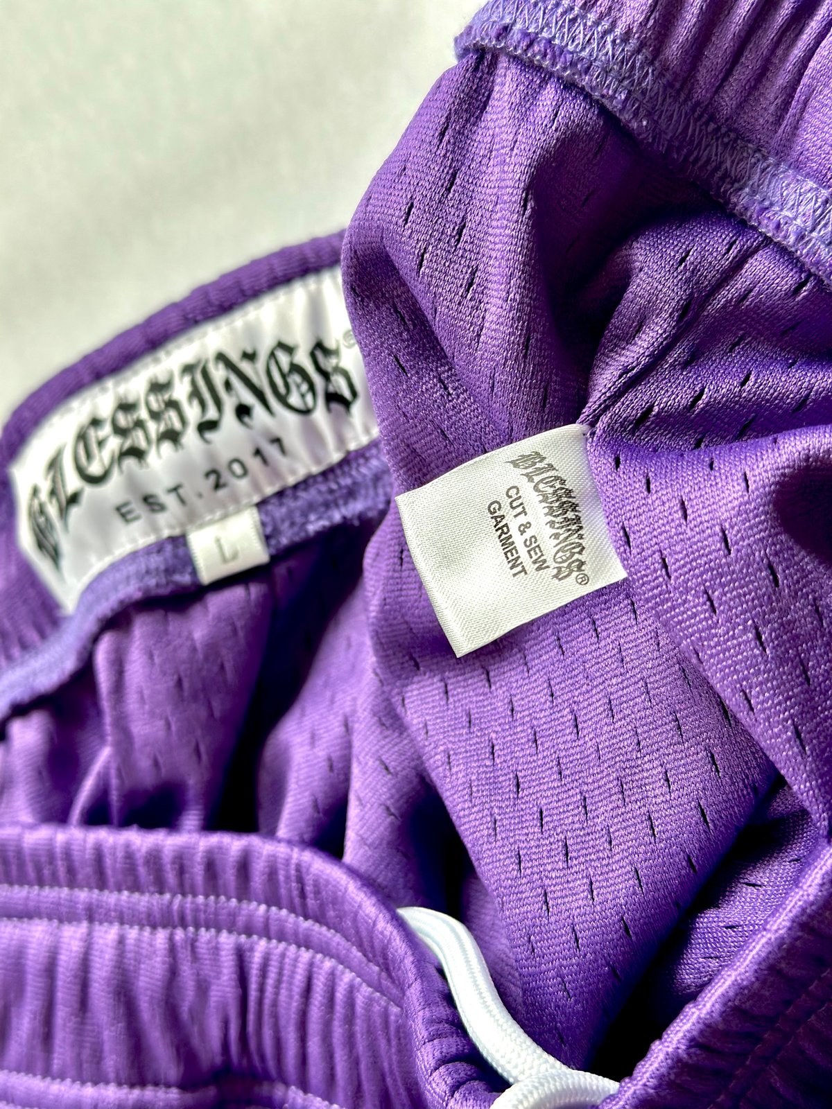 Image of BLE$$ING$®️ 500GSM PURPLE MESH SHORTS 