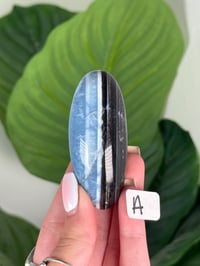 Image 1 of BLUE OPAL SHIVAS