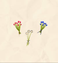bouquets 
