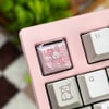 Flowers (Soft Pinks) B-stock 