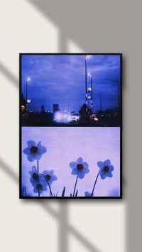Image 2 of NIGHT DRIVE, DAFFODILS II